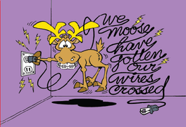 We Moose Have Gotten Our Wires Crossed