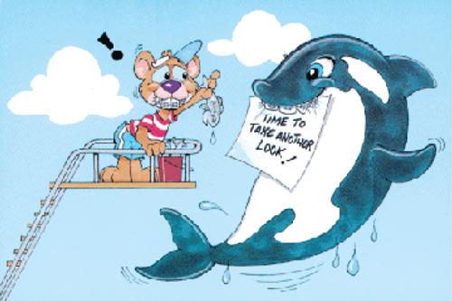 Time to take another look Whale