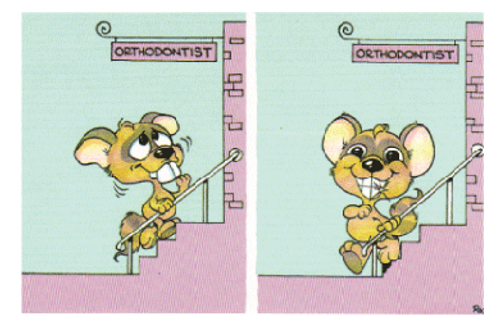 Before and After Mouse